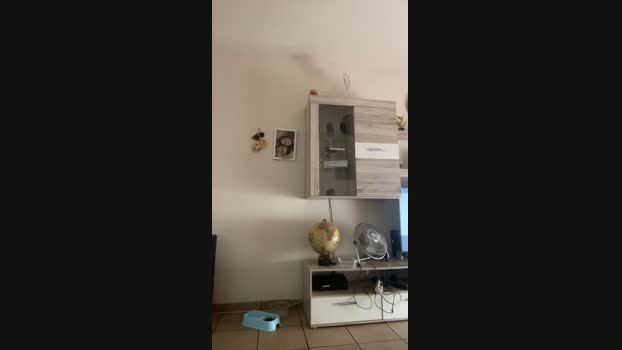 Kevinbcn85 16-09-2024 Recorded Video bj-dildo
