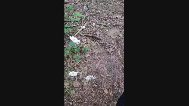 Outdoorgeil1 17-09-2024 Recorded Video suck