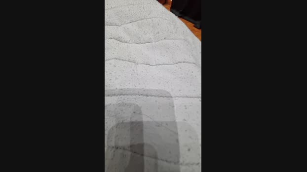 bisx24 17-09-2024 Recorded Video analsex