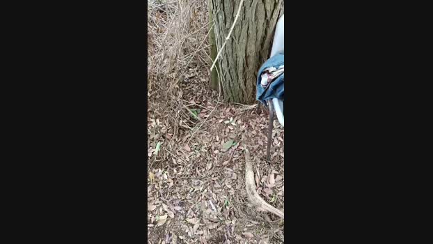 Leo_Hardyman 18-09-2024 Recorded Video jerkoff