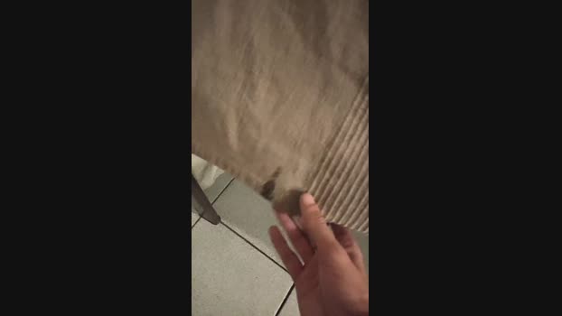 ZOORRITOHOT 18-09-2024 Recorded Video jackoff