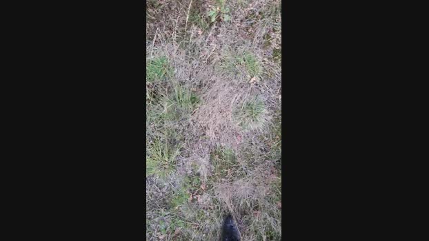 hotbody18y 18-09-2024 Recorded Video deep