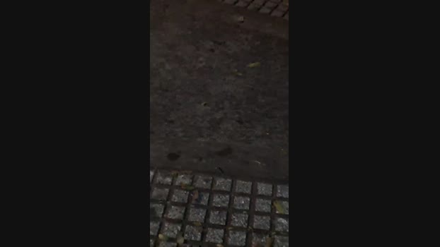 Leo23cm5 19-09-2024 Recorded Video suckcock