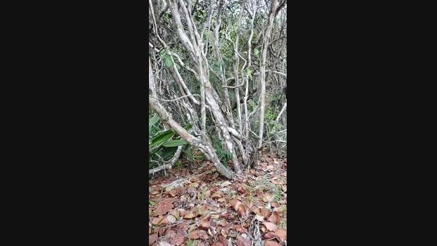 Spix4ever 19-09-2024 Recorded Video yummy