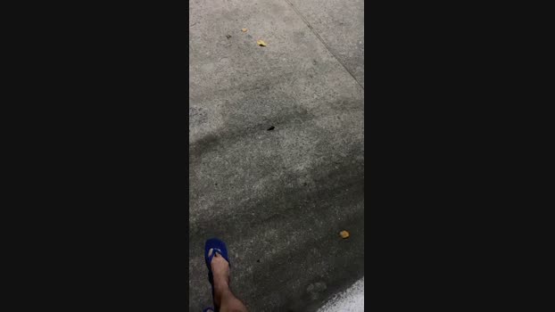 negrorjjjj 19-09-2024 Recorded Video bigdick