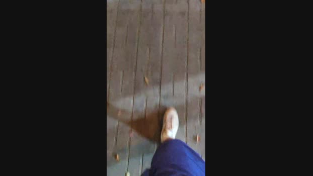 nickcompp 19-09-2024 Recorded Video kiss