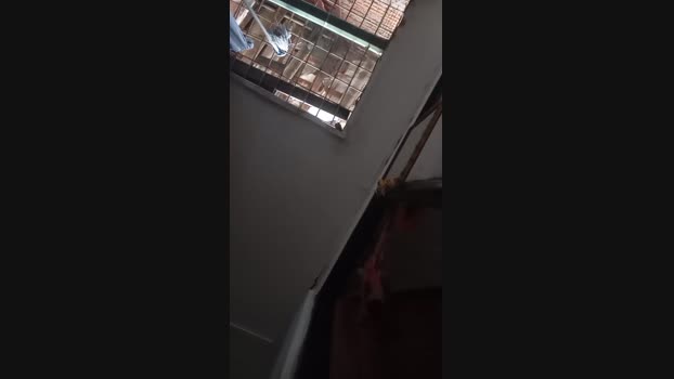 Bartisam 21-09-2024 Recorded Video deep