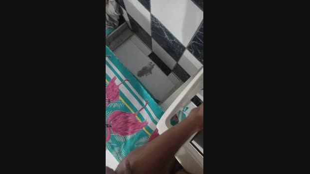Christopherfet 21-09-2024 Recorded Video sex