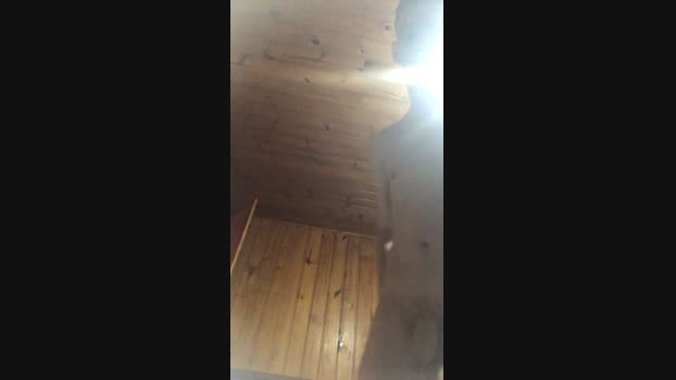 Dioguinngo 20-09-2024 Recorded Video analtoy