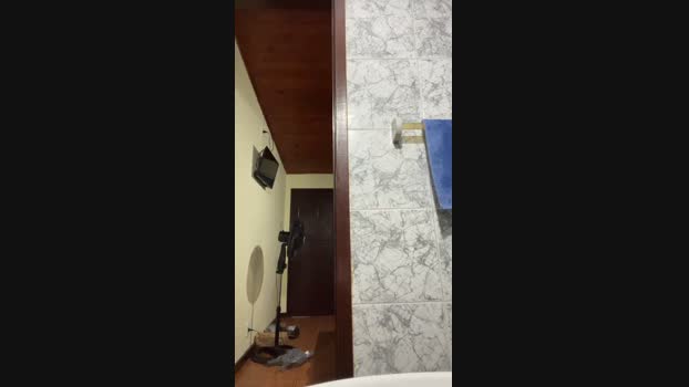 MeninoLobo_ 20-09-2024 Recorded Video analtoy