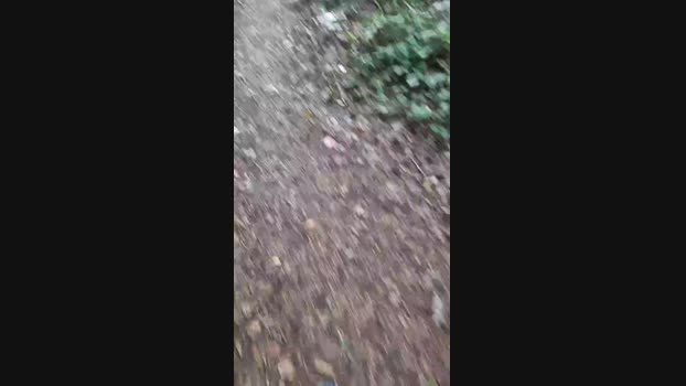 Outdoorgeil1 20-09-2024 Recorded Video nude