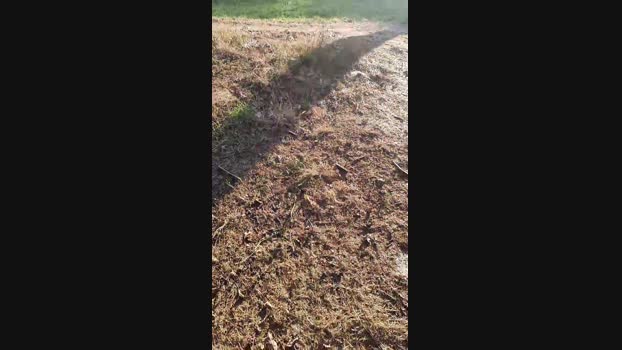 Outdoorgeil1 20-09-2024 Recorded Video wank
