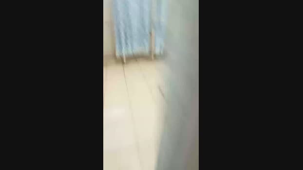 TheCheffsito 20-09-2024 Recorded Video bigdick