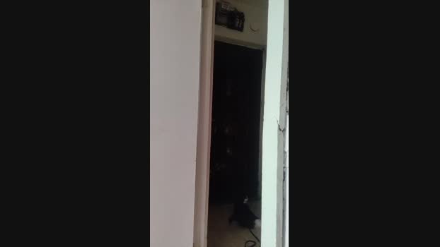 abcd34 21-09-2024 Recorded Video deep