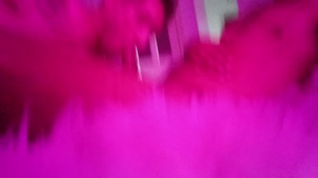 Geile_Balkane 22-09-2024 Recorded Video kissing
