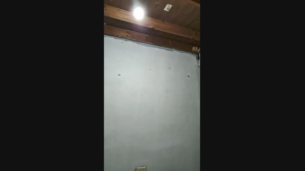 Kes94ok 22-09-2024 Recorded Video bicurious