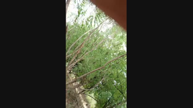 _Ottis_ 21-09-2024 Recorded Video natural