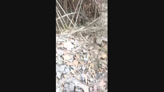 marcoroma57 22-09-2024 Recorded Video kiss