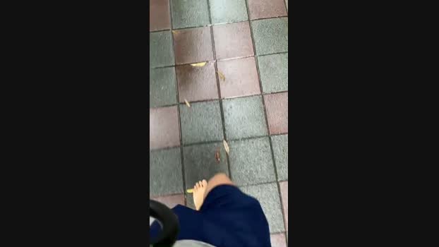 qwertasdf01 22-09-2024 Recorded Video bigcock