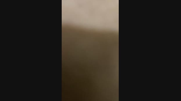 luizamor93 23-09-2024 Recorded Video natural