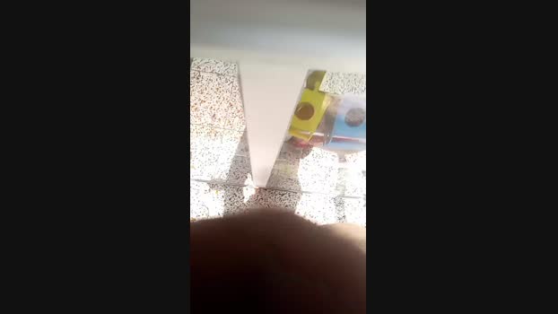 Bartisam 24-09-2024 Recorded Video Ass