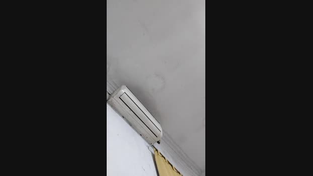 Chicofiel32 24-09-2024 Recorded Video deep