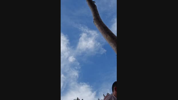 Friesenkeule 24-09-2024 Recorded Video striptease