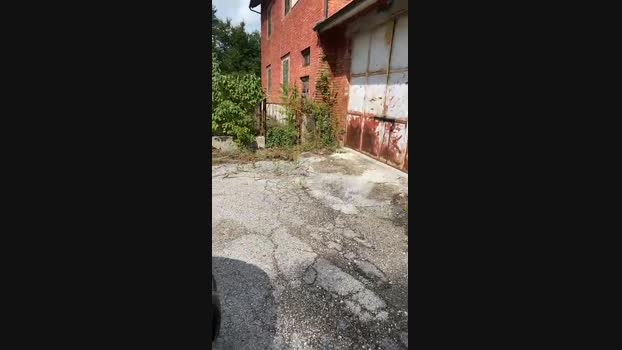 LucaEsibizioni 24-09-2024 Recorded Video ass