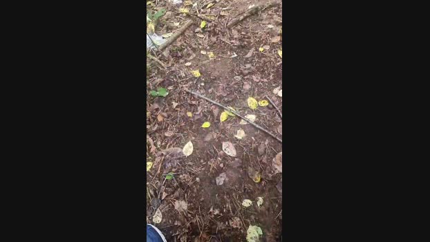 Outdoorgeil1 24-09-2024 Recorded Video kinky
