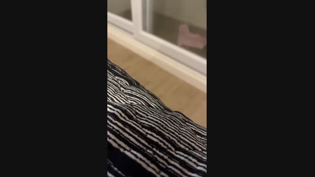 Togui24cam 24-09-2024 Recorded Video jerking