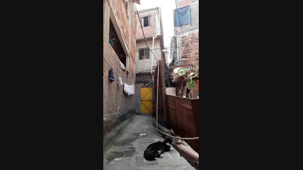 Guyfavelado193 25-09-2024 Recorded Video show
