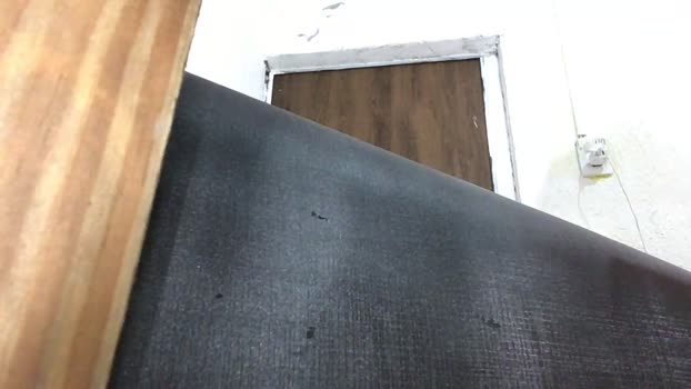 Mariokurt 25-09-2024 Recorded Video ass