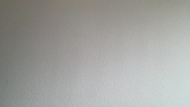 fefdrond 25-09-2024 Recorded Video sexymale