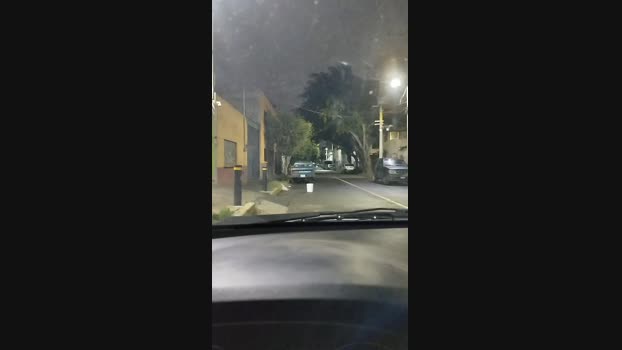 fireface29 26-09-2024 Recorded Video bigload