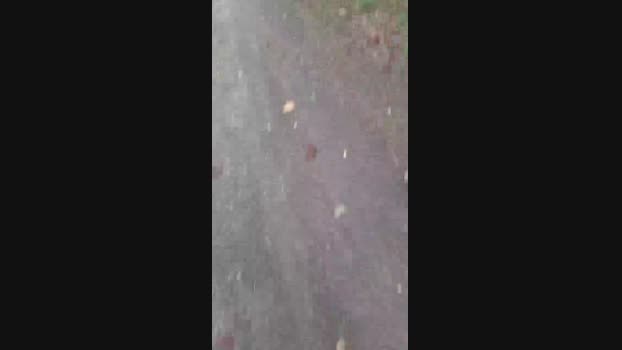 maturo32 26-09-2024 Recorded Video hard