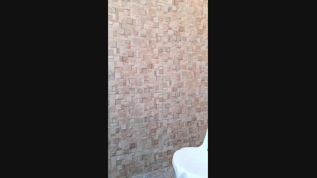 recoblue22cm 26-09-2024 Recorded Video big