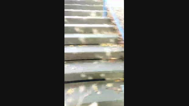 uzun 26-09-2024 Recorded Video fuckface