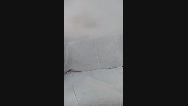 Alemaoedu37 27-09-2024 Recorded Video suck