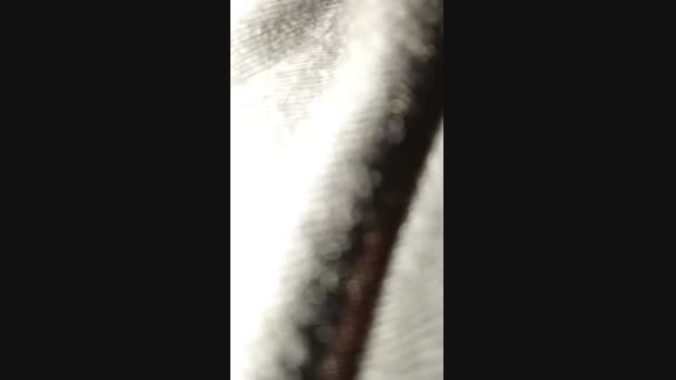 Sirlord38 27-09-2024 Recorded Video toy