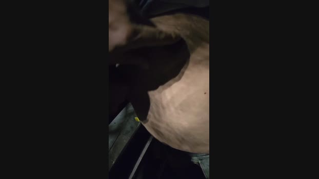 pollen_07 26-09-2024 Recorded Video lick