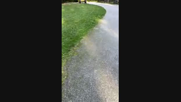 Diegomorbo_str 28-09-2024 Recorded Video Recorded