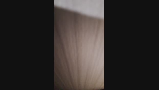 Lurio 27-09-2024 Recorded Video sexybody