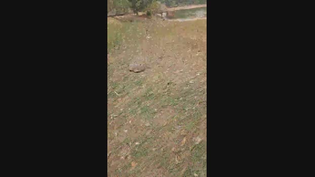 umbomgaroto 27-09-2024 Recorded Video sex