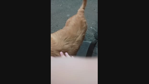 Guyfavelado193 29-09-2024 Recorded Video Naked
