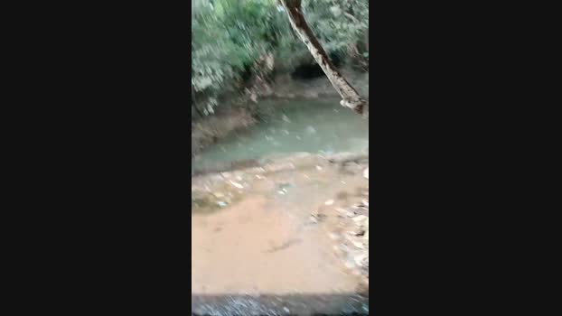 Puotosafado 29-09-2024 Recorded Video big