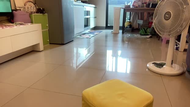 skin168 29-09-2024 Recorded Video gag
