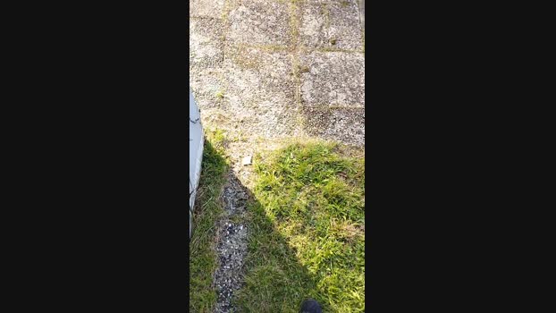 uzun 30-09-2024 Recorded Video amateur