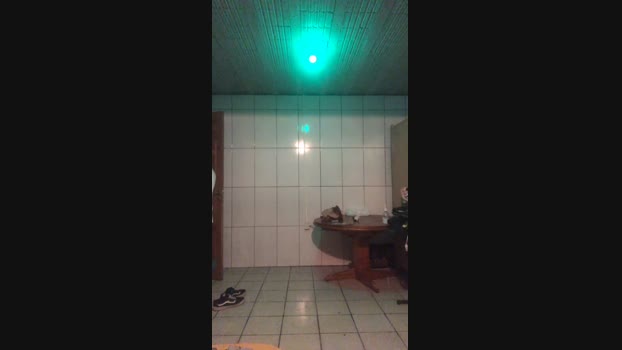 Brandodionisio7 01-10-2024 Recorded Video toys