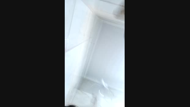 Loiro4i20 30-09-2024 Recorded Video handsome