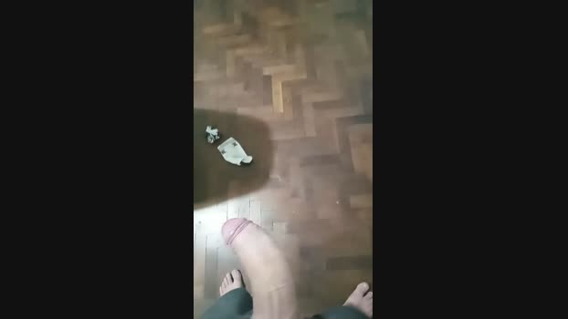 Mecanicoenpija 01-10-2024 Recorded Video jackoff
